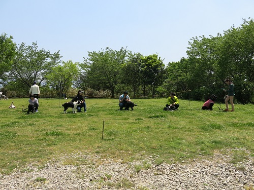 29050818.JPG