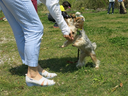 29050821.JPG