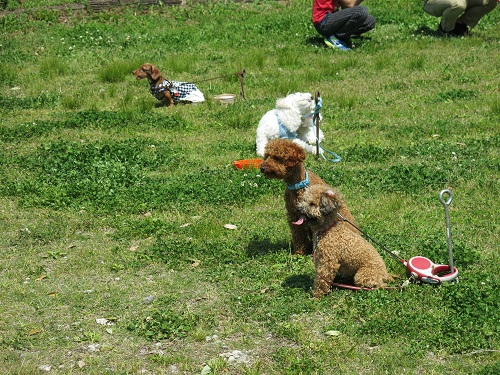 29050824.JPG