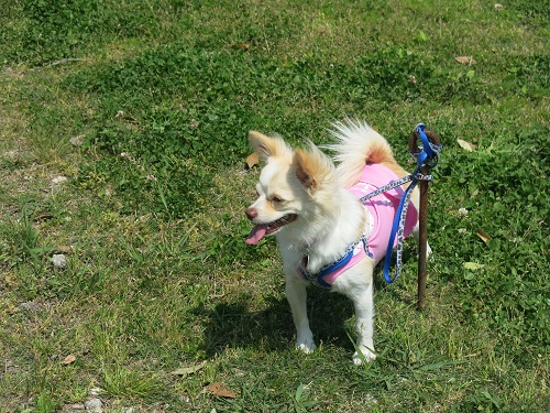 29050825.JPG
