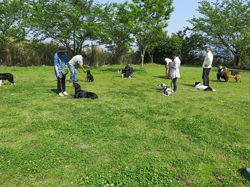 29050829.JPG