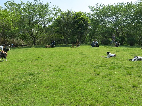 29050837.JPG