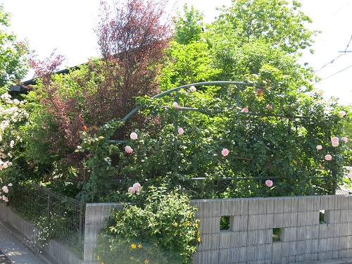 29053101.JPG