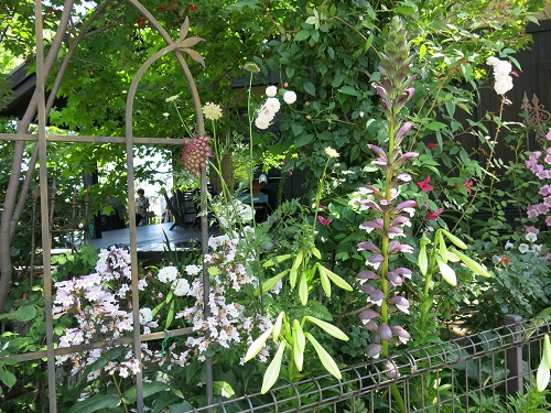 29053103.JPG