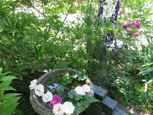 29053111.JPG