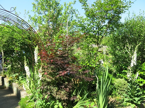 29060406.JPG
