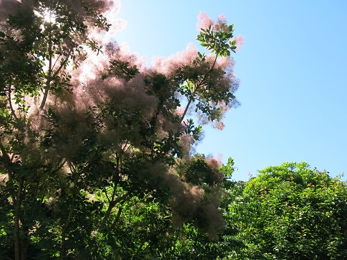 29060410.JPG