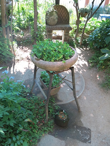 29060415.JPG