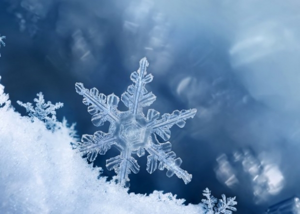 新入荷!! 希少スノーホワイト ルチルガーデン水晶 | 天然石ミューゼ