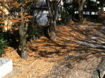 飯田市美術博物館 紅葉スポット