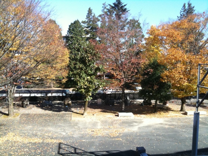 飯田市紅葉スポット