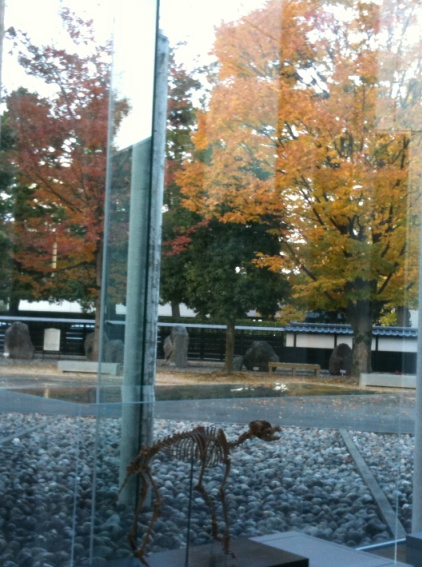 紅葉スポット 長野県飯田市