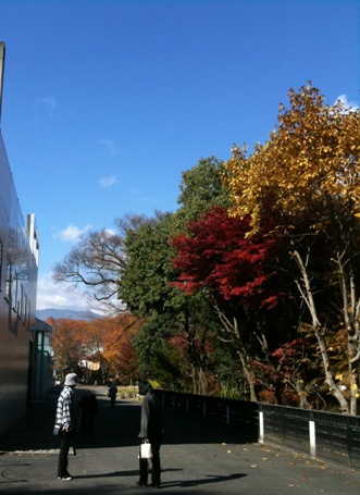 紅葉スポット長野県飯田市美術博物館