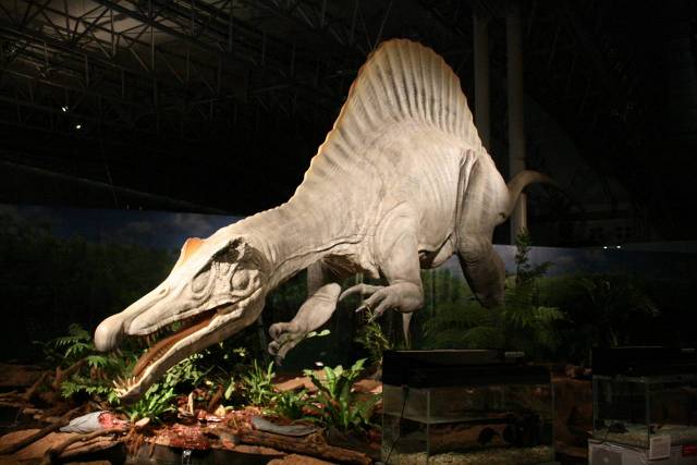 2009年幕張メッセで紹介されたスピノサウルス