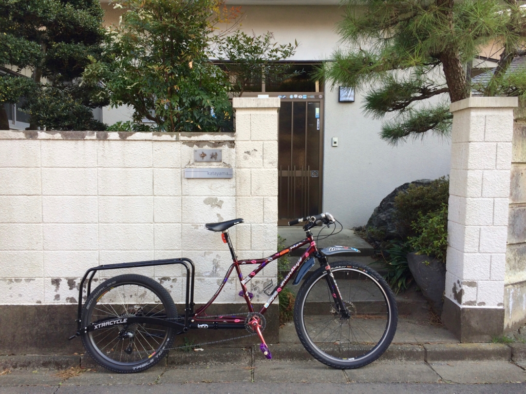 エクストラサイクル　フリーラディカルキット 欠品あり エクストラサイクル フリーラディカルキット - メルカリ