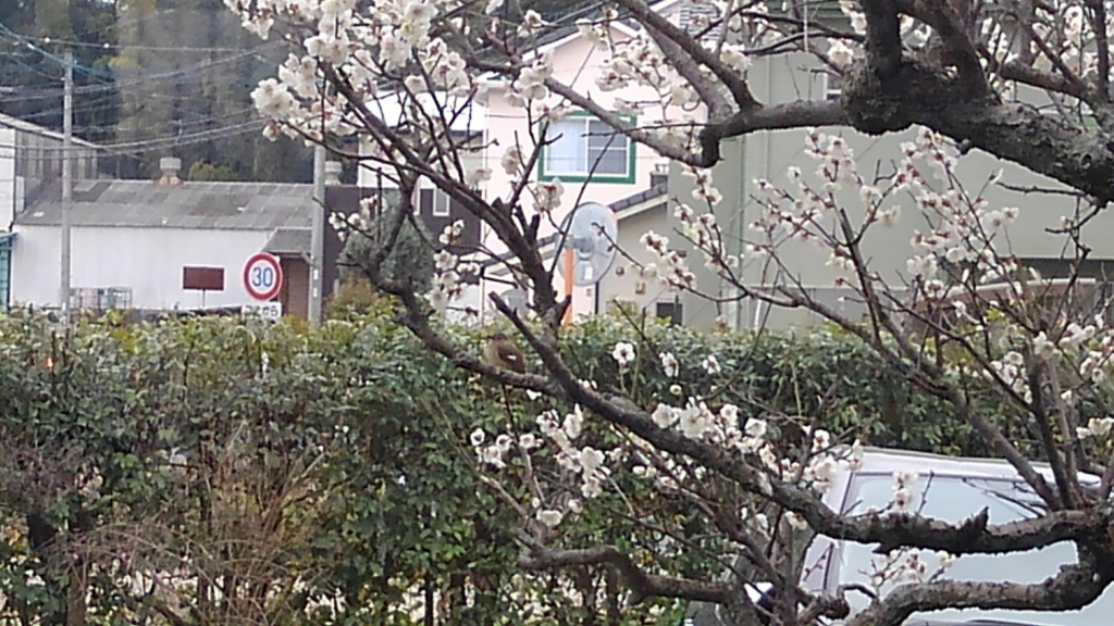 KIMG0345.JPG