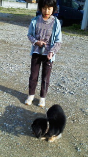 201104281659000.jpg