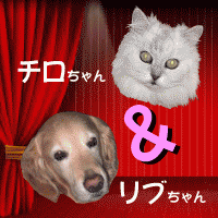 笑タイムアニメ
