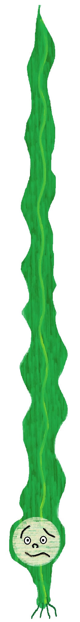 konnbunagai