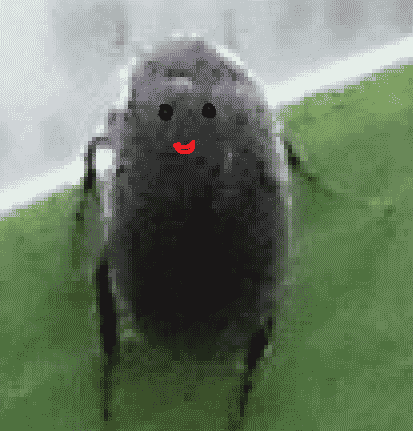 くろむしあにめ