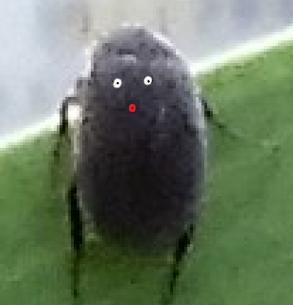 くろあぜん