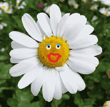 まがれのあにめ
