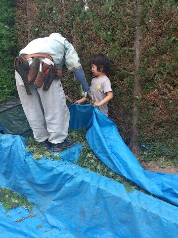 rps20120825_163737_691.jpg