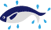 ooita.gif