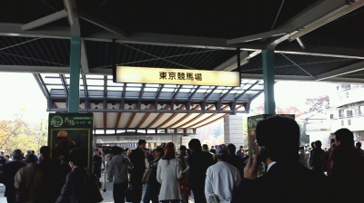 金馬