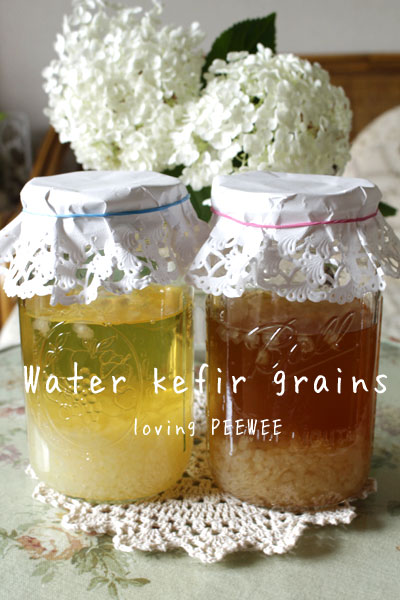 water-kefir-grains