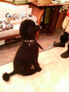 2011030920060000.jpg