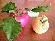 resizeman_20120504203858.jpg