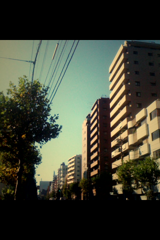IMG_0871.PNG