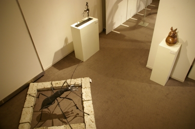 展示風景