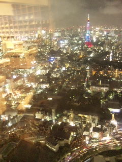 ヒルズからの夜景