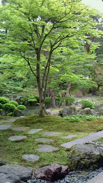 2017051318040000.jpg