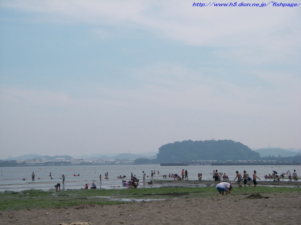 八景島 海の公園 海の魚図鑑 番外 遠征釣行記 普段の釣行記