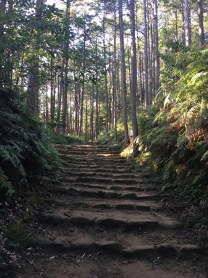 道
