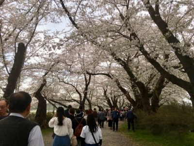 北上川