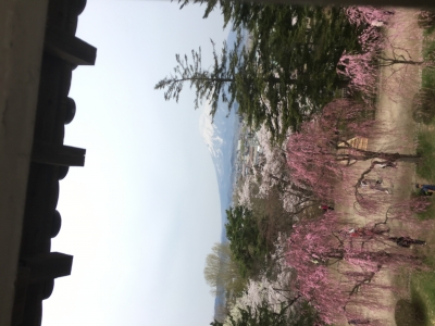 岩木山