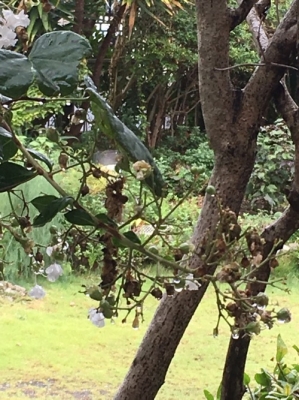 雨2