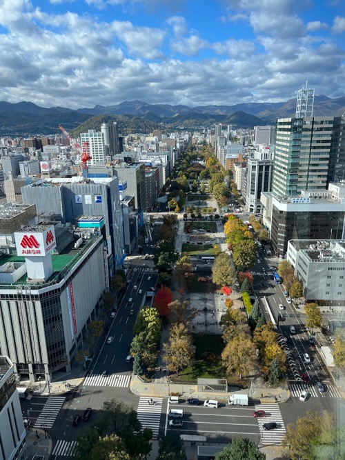 テレビ塔から大通公園