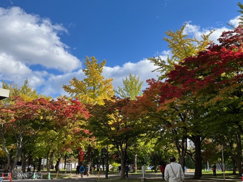 北大の紅葉