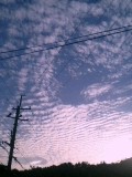 20061010_155773.jpg