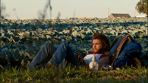 Into the Wild4.jpg
