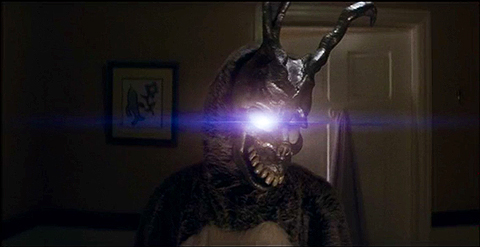 donnie_bunny.jpg