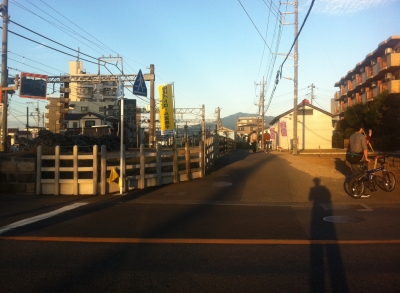 image.jpeg