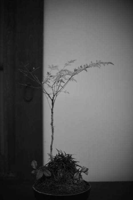2016:02:14-11.jpg