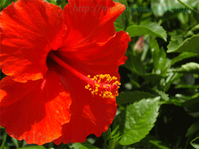 july073