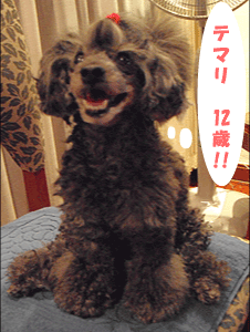 temaro_12yearsold